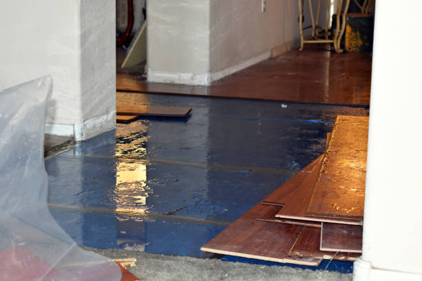 Professional Basement Flood Cleanup technician working in Mertens, TX